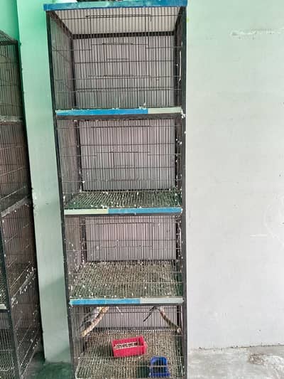 Cage full angal