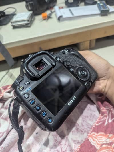 Canon 5D Mark III + Canon 85mm f/1.8