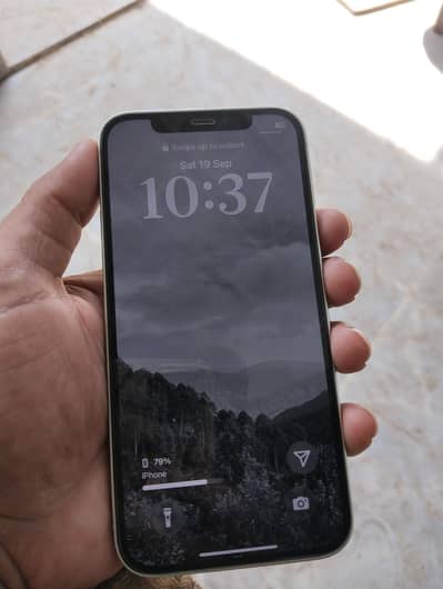 Apple iPhone 12