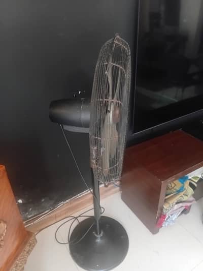 Royal Pedastal Fan