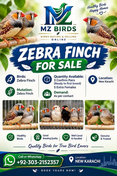 Selling my Finch pairs (Ready to Breed) and some extra females