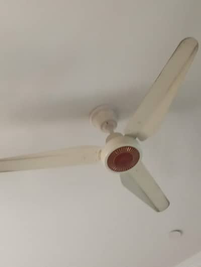 pak fan for sale