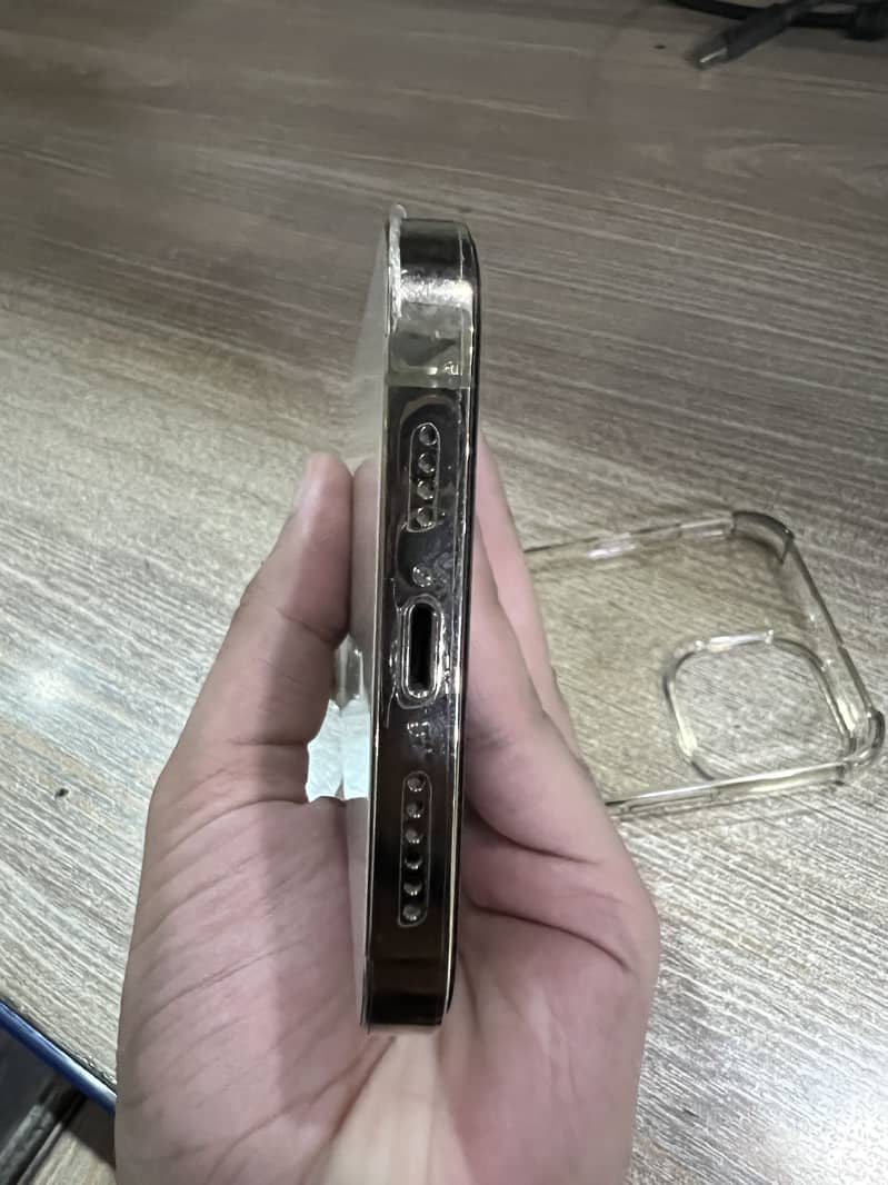 Apple iPhone 13 Pro Max 2