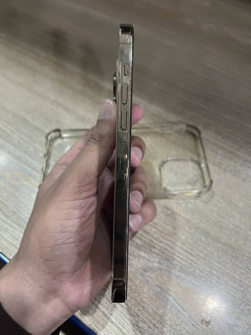 Apple iPhone 13 Pro Max 3