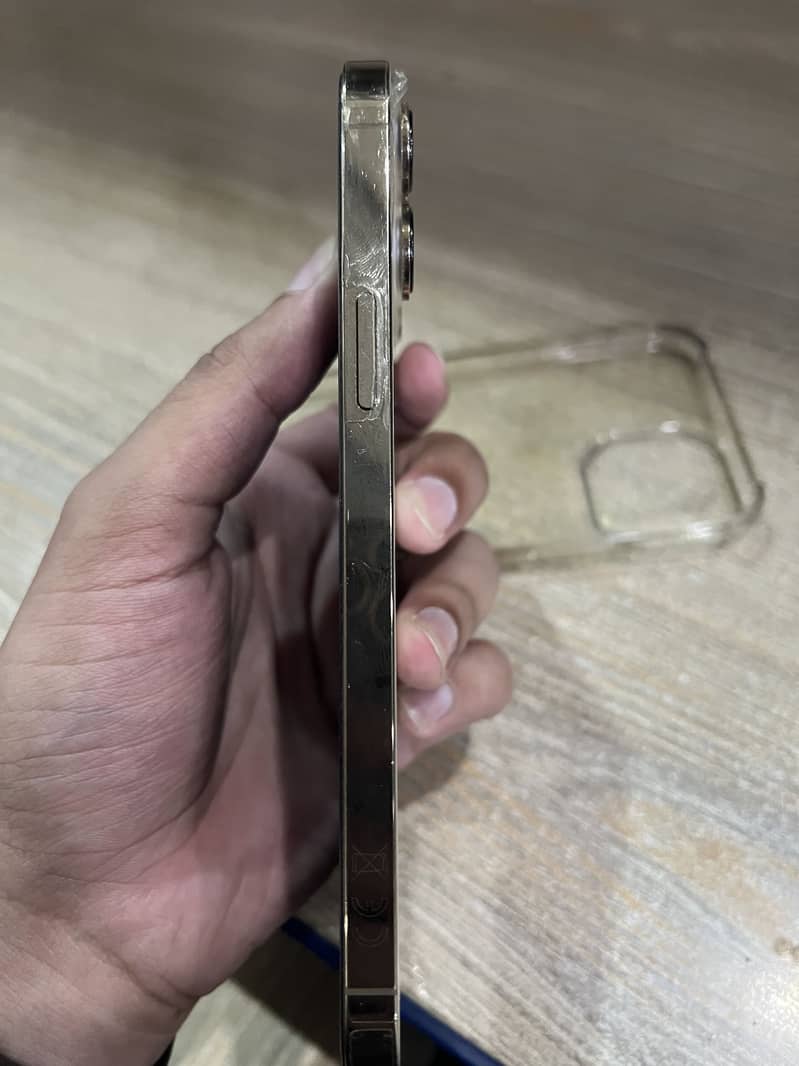 Apple iPhone 13 Pro Max 6