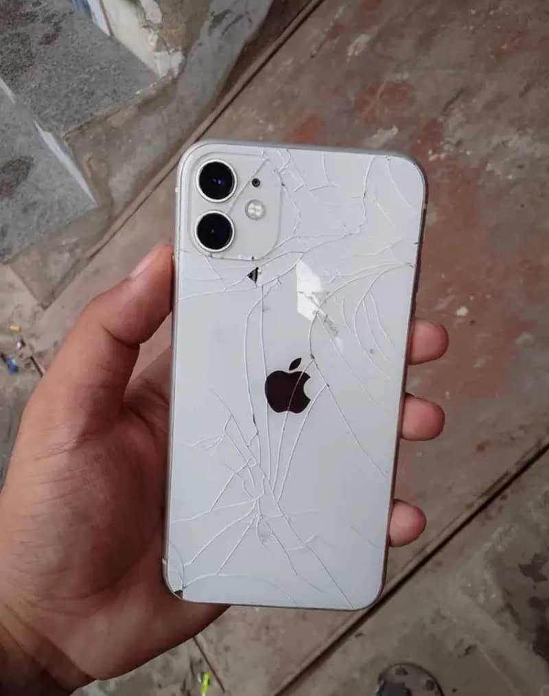 Apple iPhone 11 0