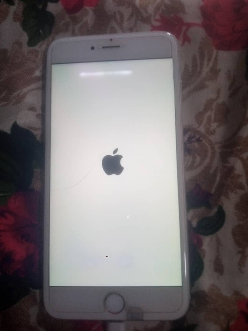 Apple iPhone 6 Plus 1