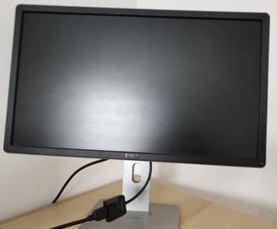 Dell Monitor 24inch P2124h