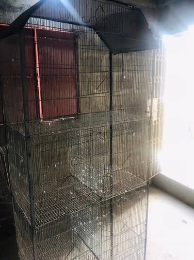 8 portion cage