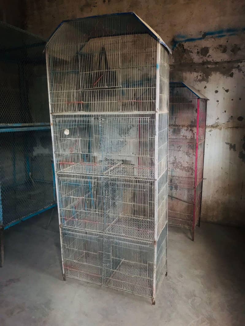 8 portion cage 1