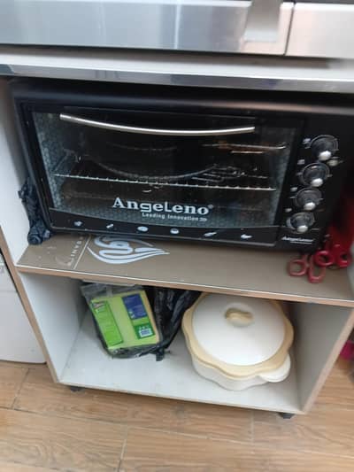 Electric Oven