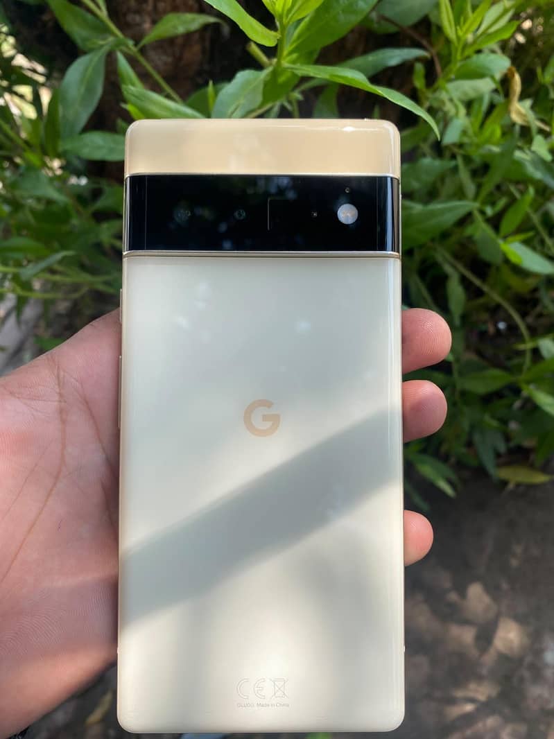 Google Pixel 6 Pro 1