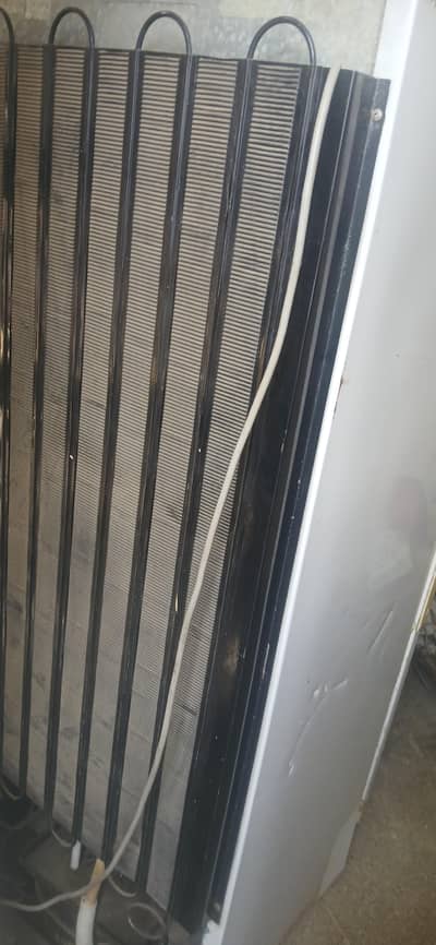 10 Cft PEL refrigerator