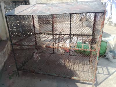 portion hen cage for sale attock