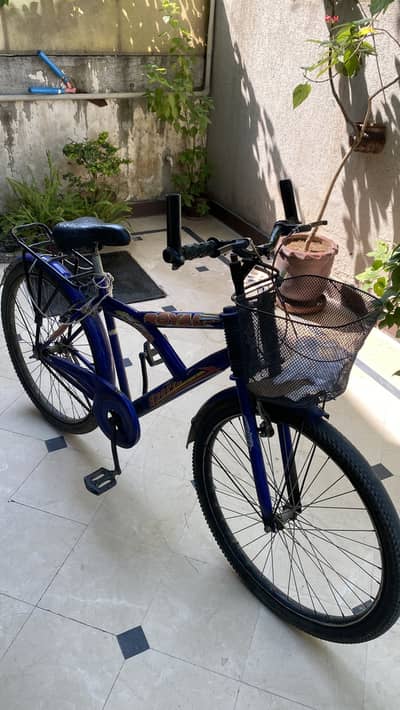 Bicycle china