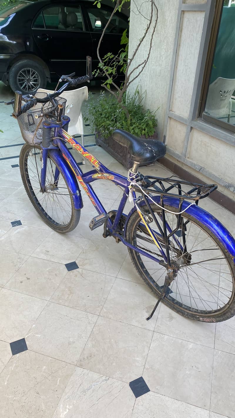Bicycle china 1