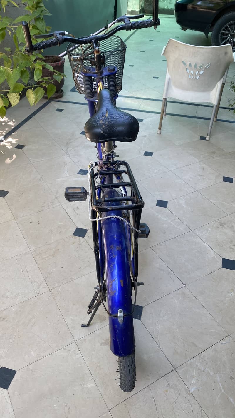 Bicycle china 2
