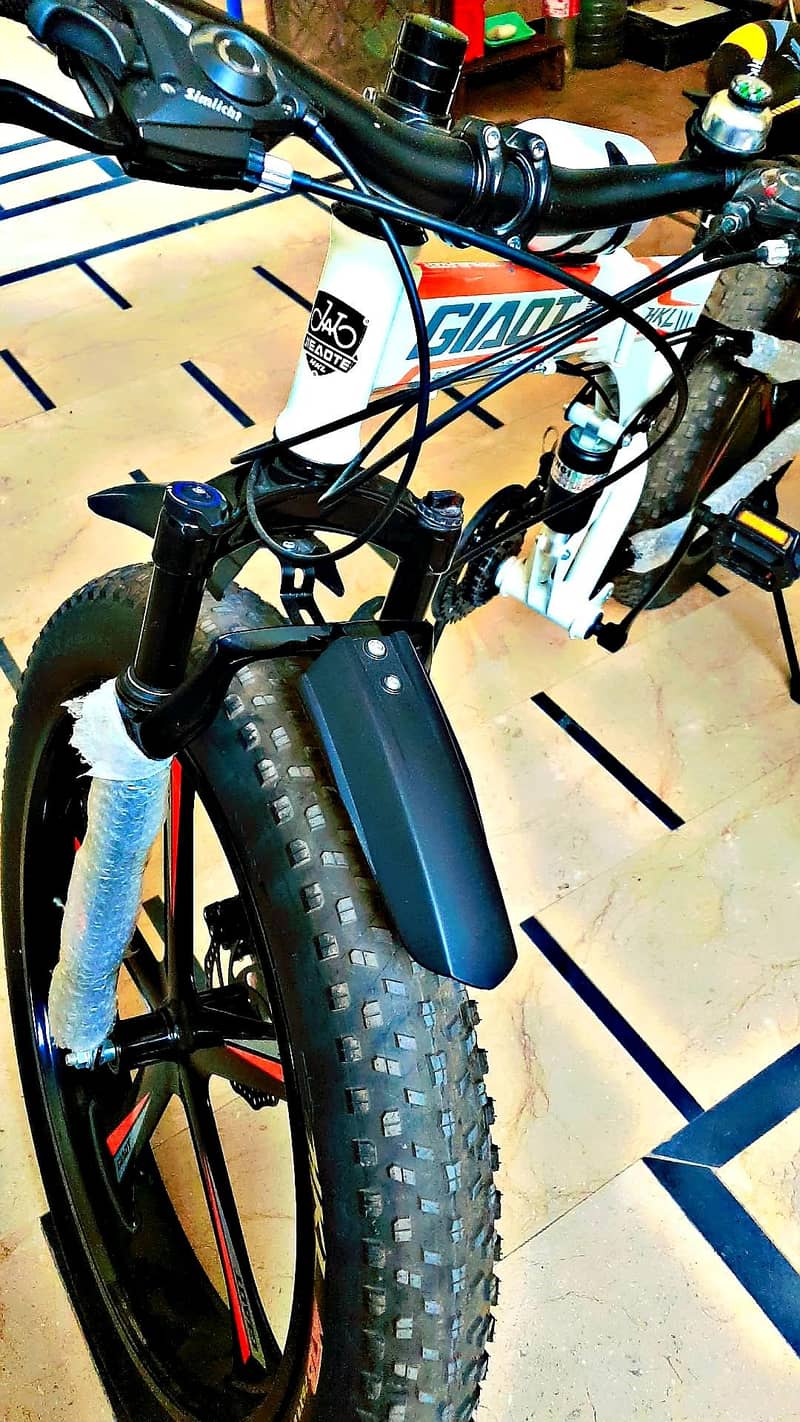Bicycle 1