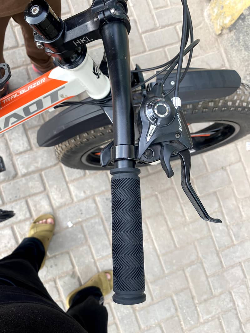 Bicycle 10