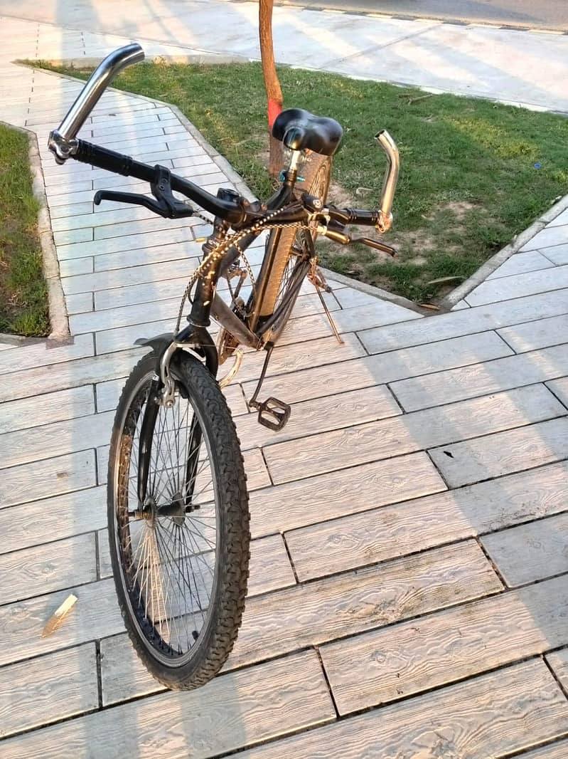bicycle 1