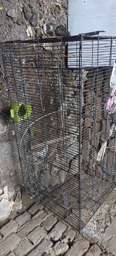 cages good condition
