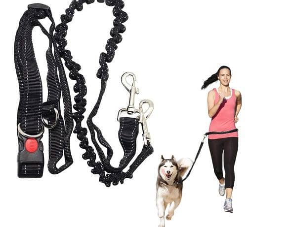 1 pcsHands Free Dog Walking Running Belt - Adjustable Bungee Dog Leash Harness Lead with Waist Pouch (Black) R5733