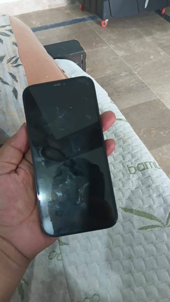 Apple iPhone 12 Pro Max 4