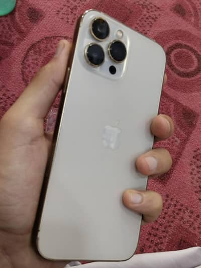 Apple iPhone 13 Pro Max