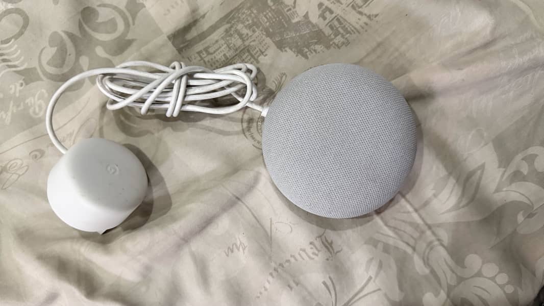 Google Nest mini 2  (latest model) 0