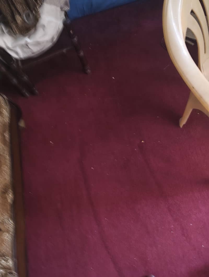 carpets 0