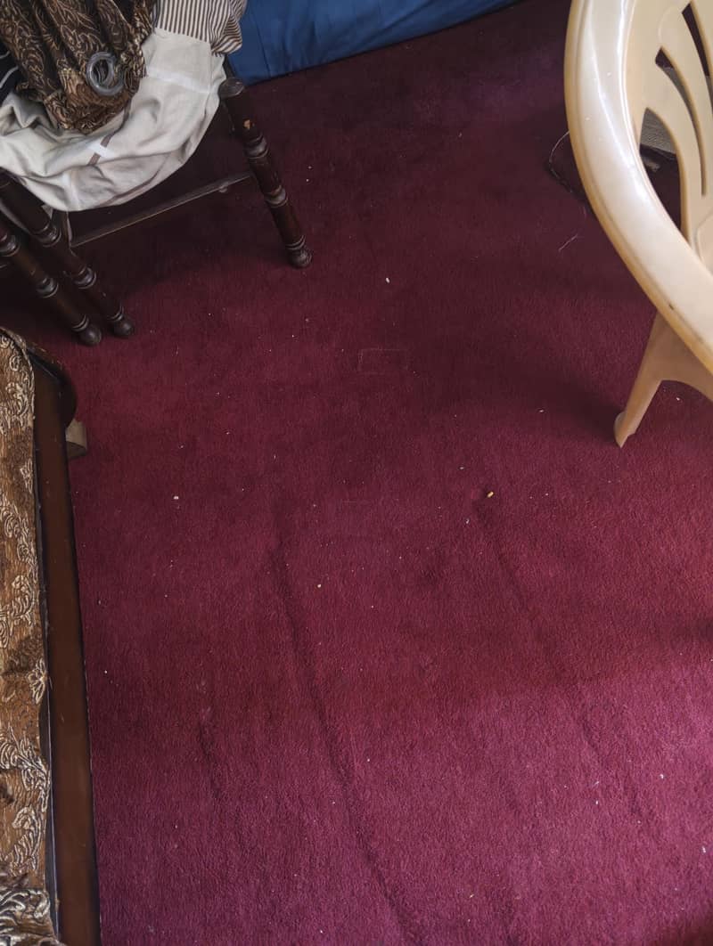 carpets 1