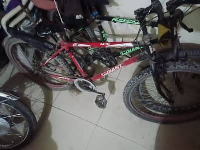 Giant bicycle