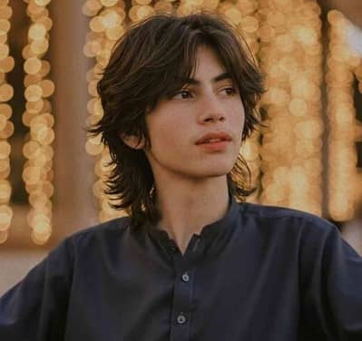 areeb sheikh