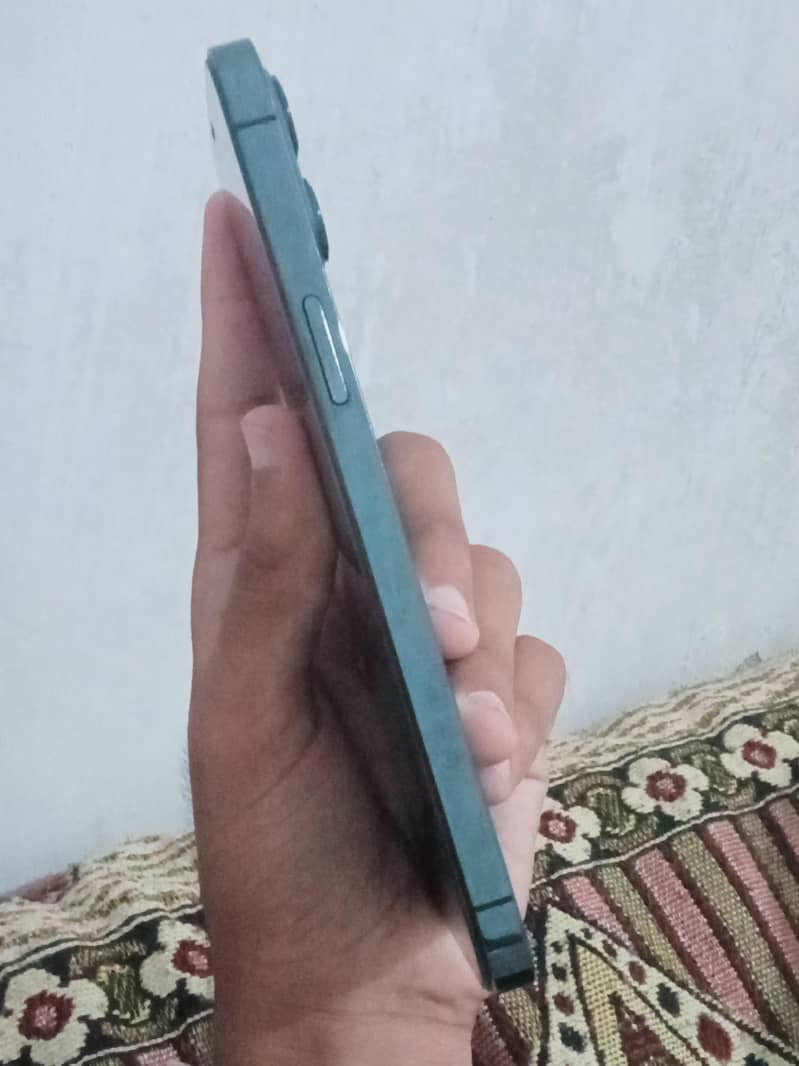 Apple iPhone 12 Pro Max 1
