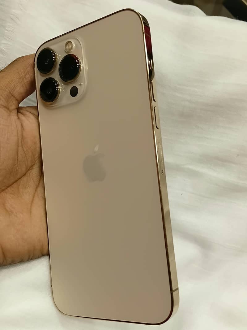 Apple iPhone 13 Pro Max 2