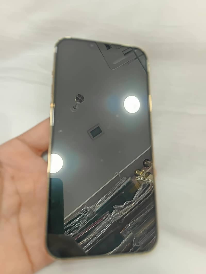 Apple iPhone 13 Pro Max 3
