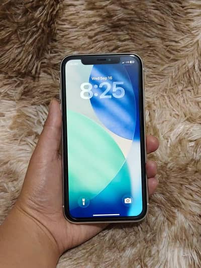 Apple iPhone 11