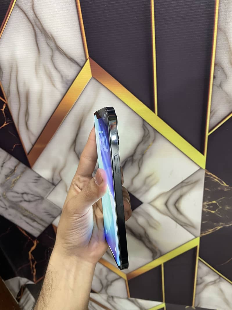 Apple iPhone 12 Pro Max 9