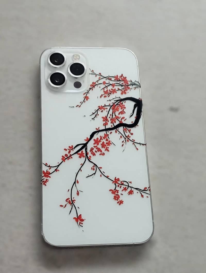 Apple iPhone 12 Pro Max 0