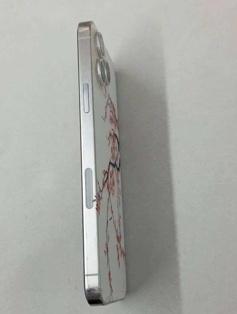 Apple iPhone 12 Pro Max 1