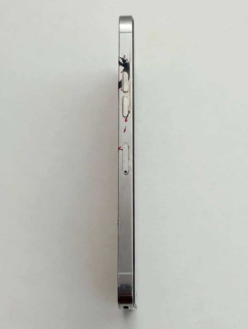 Apple iPhone 12 Pro Max 3