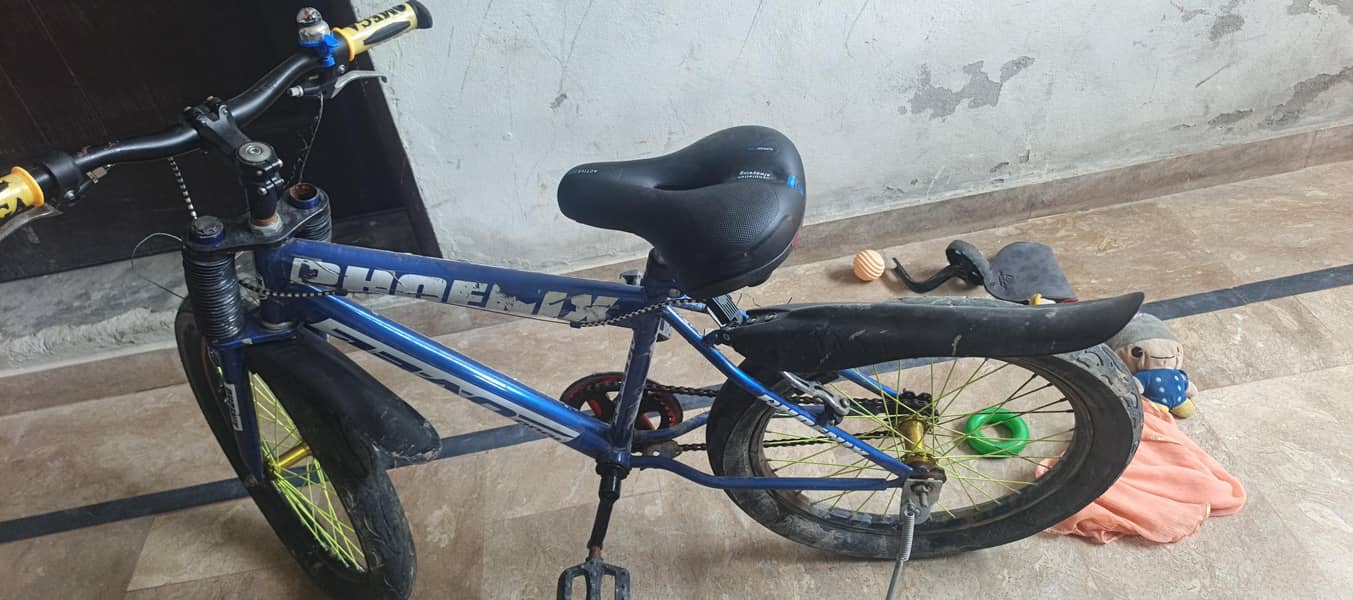 bicycle 1