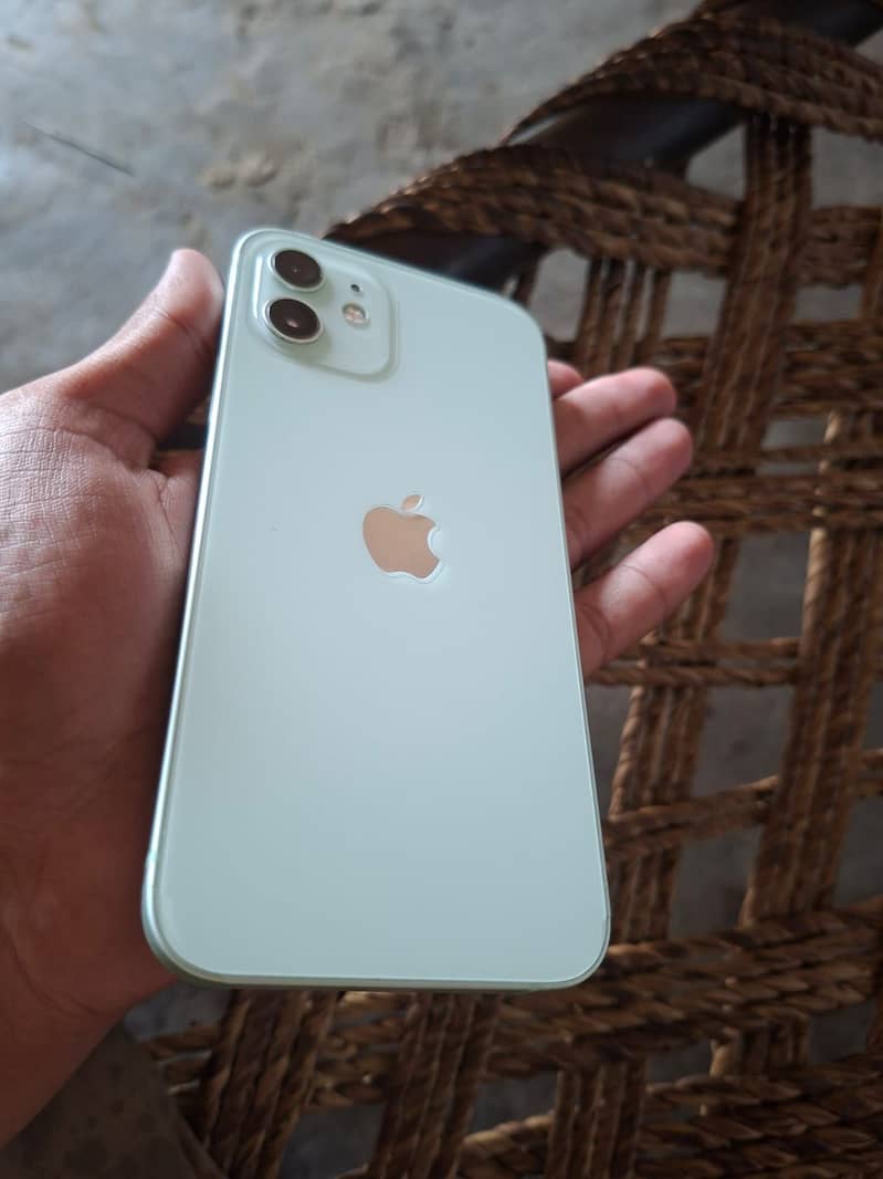 Apple iPhone 12 1
