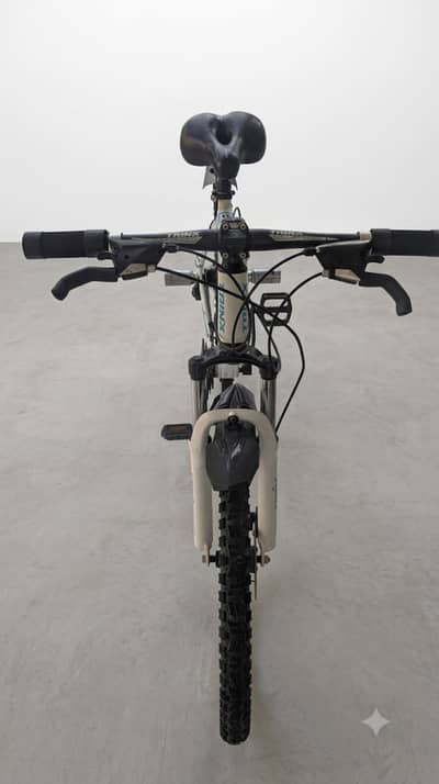 Trinx mountain bike