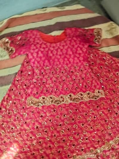 zaree fully hand made embroidery lehanga