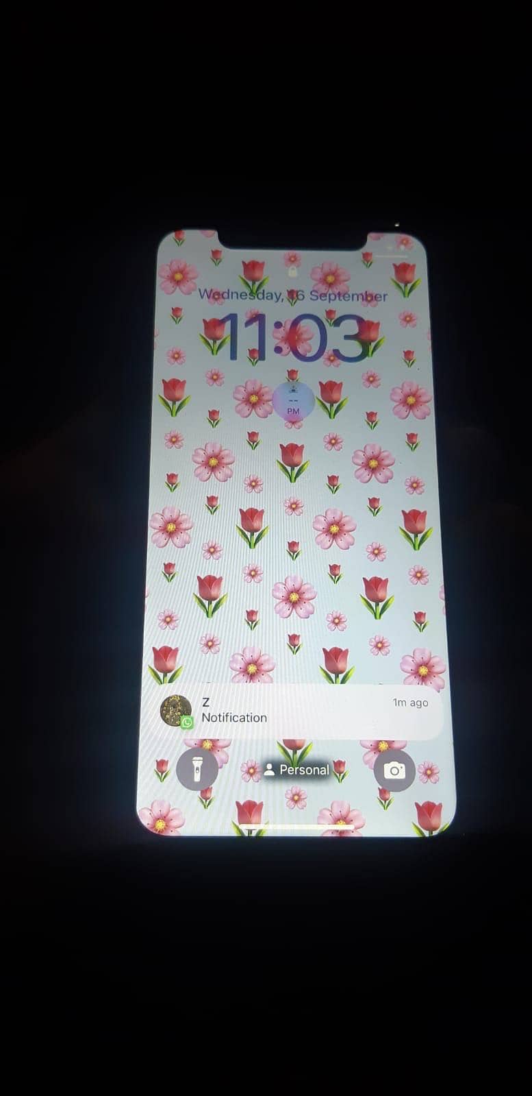 Apple iPhone XS 3