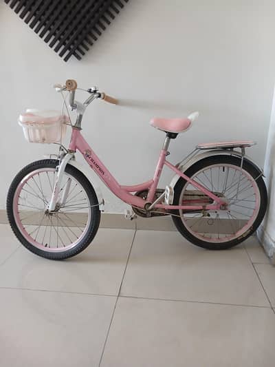 Girls Bycycle. Chinese