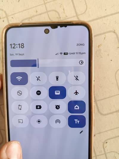 pixel 8 pro panl