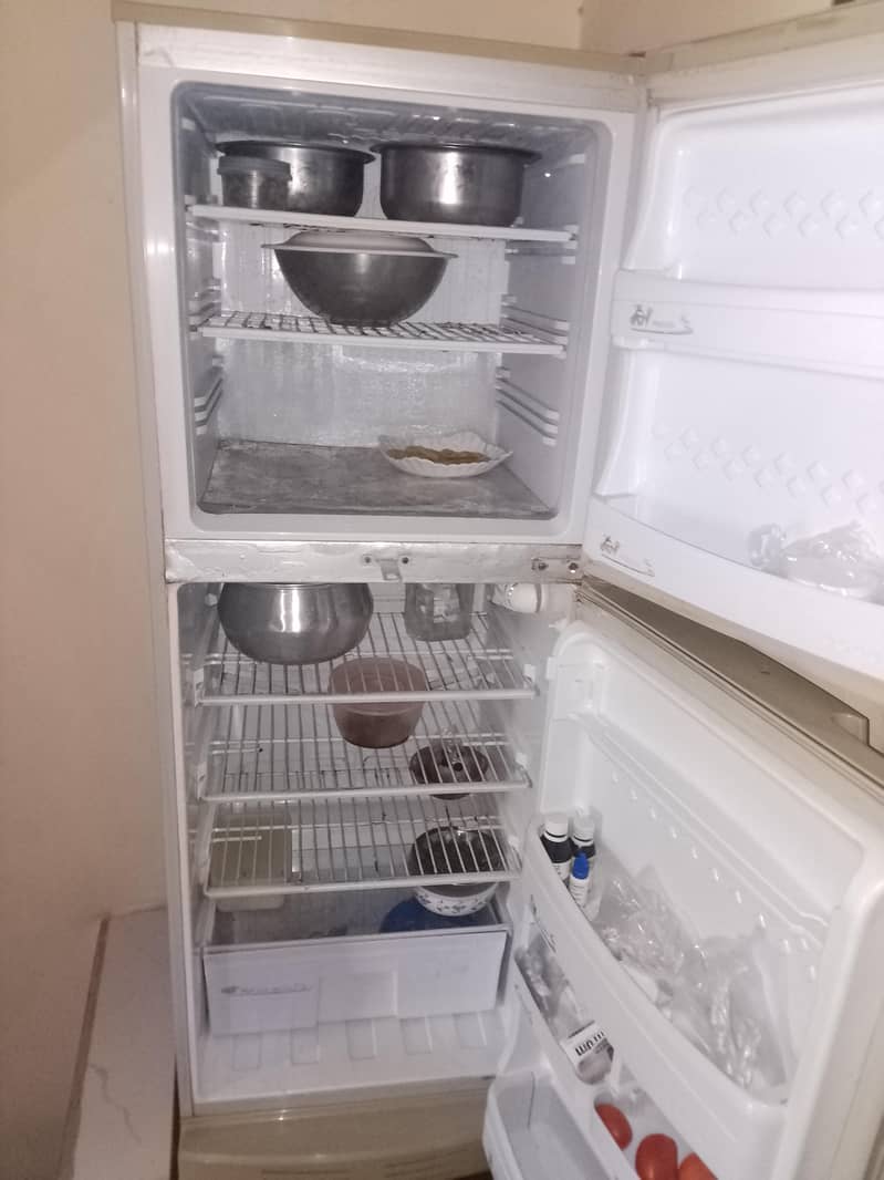 pell freezer 2