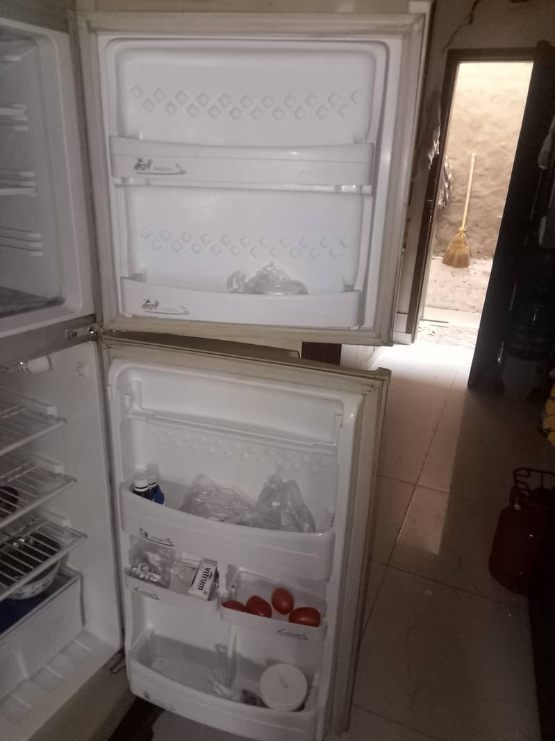 pell freezer 3